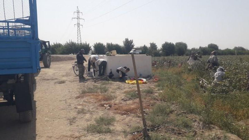 'Qashqadaryoda o`quvchilar paxta terimiga jalb qilingani rostmi?'ning rasmi