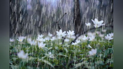 'Shamol, yomg`ir, momaqaldiroq... Ertaga qaysi hududda ob-havo qanday bo`lishi e`lon qilindi'ning rasmi