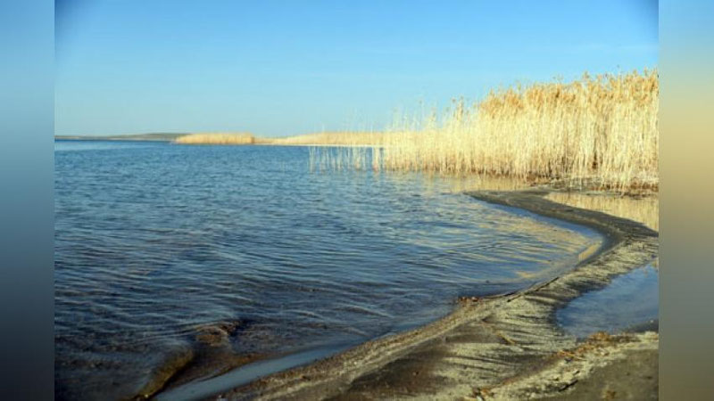 'Qashqadaryoda 10 dan ortiq hamkasbi bilan Sechanko`lga dam olishga borgan IIB xodimi dom-darakciz yo`qoldi'ning rasmi