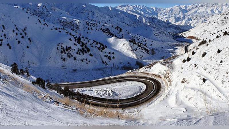 'FVV QAMChIQ DOVONI ORQALI VAQTINChA HARAKATLANMASLIKNI TAVSIYa ETMOQDA'ning rasmi