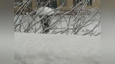 Изрображение 'В Узбекистане временами снег, на дорогах гололедица: погода на 19 февраля'