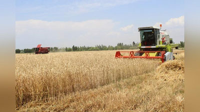 'Энди ҳокимликларнинг ғалла етиштирувчилар фаолиятига аралашуви тақиқланади'ning rasmi