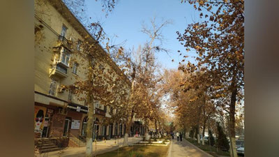 Изрображение 'В Ташкенте воздух прогреется до +12: погода на 22 декабря'