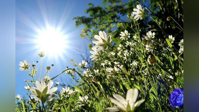 'Bugun O`zbekistonda harorat 38 darajagacha ko`tariladi'ning rasmi