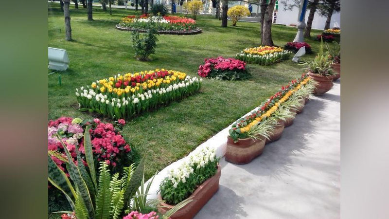 'Navoiyda Obodonlashtirish boshqarmasi oilaviy tadbirkordan sotib olgan ko`chatlarning pulini bermay sarson qildi'ning rasmi