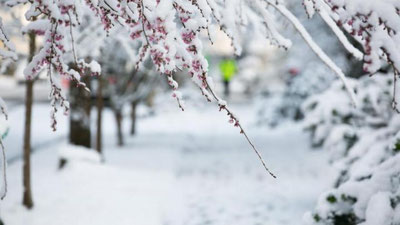 'Ertadan sovuq havo chekina boshlaydi'ning rasmi