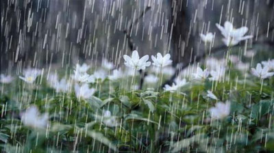 'Ertaga O`zbekistonda qanday ob-havo kuzatiladi?'ning rasmi