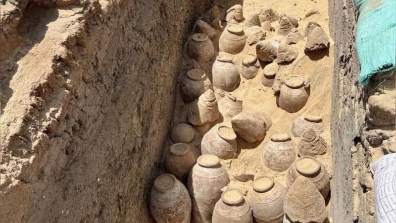 'Arxeologlar 5000 yillik sharobning yuzlab ko`zalarini topishdi'ning rasmi