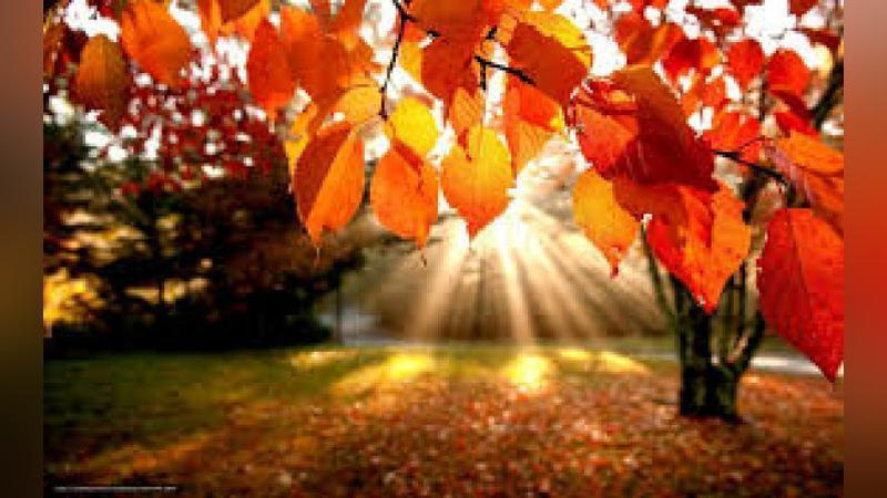 'ERTAGA MAMLAKATIMIZDA HAVO HARORATI KO`TARILADI'ning rasmi