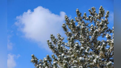 'O`zbekistonda iliq ob-havo qachongacha davom etishi ma`lum bo`ldi'ning rasmi