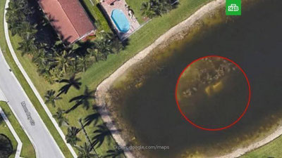 Изрображение 'Google Earth нашел останки американца, который пропал 22 года назад'