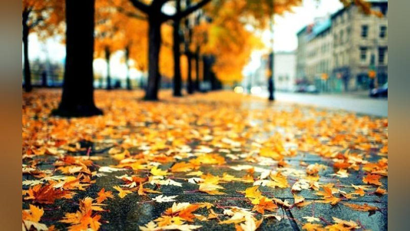 'Бугун Ўзбекистонда ҳаво ўзгариб туради — Ўзгидромет'ning rasmi