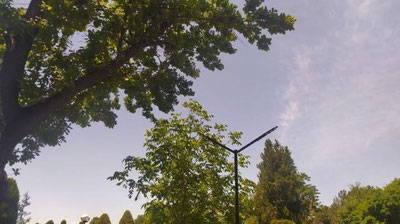 Изрображение 'Жара нарастает: в Ташкенте сегодня воздух прогреется до +36'