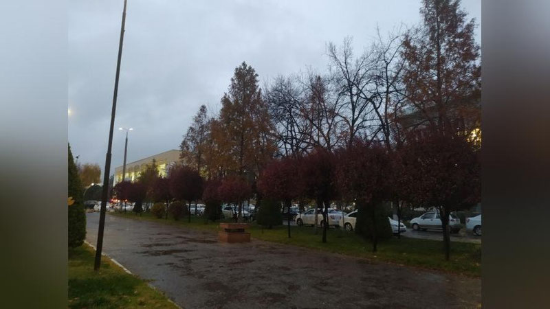 Изрображение 'В Ташкенте +11: погода на 8 января'