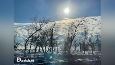 'Bugun O`zbekiston bo`yicha yog`ingarchilik kutilmaydi, faqat…'ning rasmi