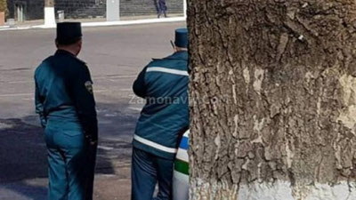 '"Qashqadaryoda ovchi GAI xodimi"ga munosabat bildirildi (video)'ning rasmi