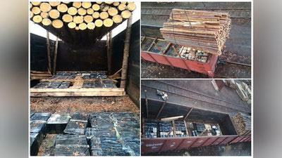 'Bojxonachilar yog`ochlar ostiga yashirilgan 4,2 mlrd so`mlik pirotexnika vositalari va sifati kafolatlanmagan bioaktiv qo`shimchalarni fosh etishdi'ning rasmi