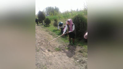 Изрображение 'ГОСИНСПЕКЦИЯ ПРОВЕРИТ ФАКТ ПРИНУЖДЕНИЯ К ТРУДУ ИЗБАСКАНСКИХ УЧИТЕЛЕЙ'