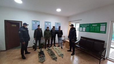 Изрображение 'В Сырдарье липовые "охотники" выдавали собачьи шкуры и зубы за волчьи'