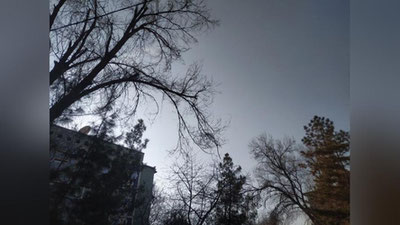 Изрображение 'В Ташкенте воздух прогреется до +7: погода на 4 марта'