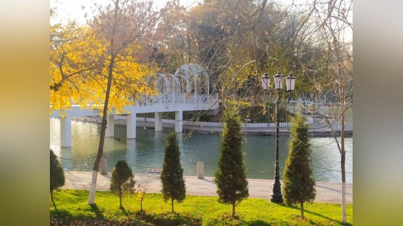 Изрображение 'В Ташкенте +24: погода на 28 ноября'