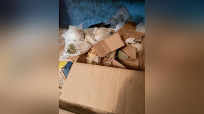 'Ahvoli abgor ekani fosh bo`lgan Kitob tumanidagi 5-Mehribonlik uyining direktori va ombor mudiri ishdan olingani ma`lum qilindi'ning rasmi