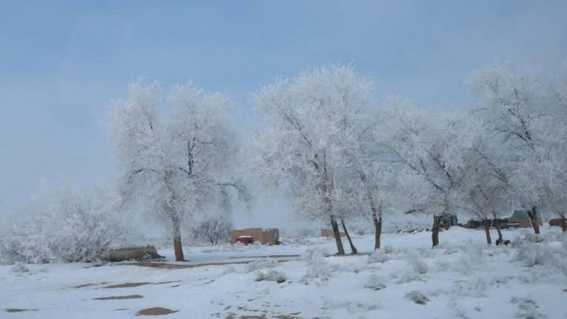 'Bugun ayrim viloyatlarda qor yog`adi'ning rasmi