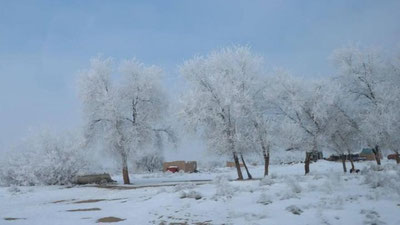 'Bugun ayrim viloyatlarda qor yog`adi'ning rasmi