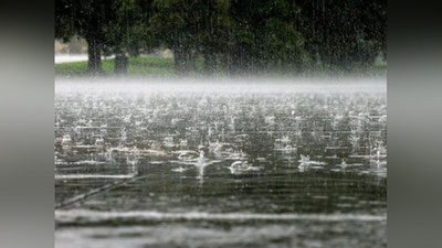 'Tayyor turing: ertaga yomg`ir yog`adi'ning rasmi