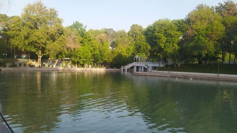 Изрображение 'В Ташкенте к вечеру возможен кратковременный дождь: погода на 9 мая'