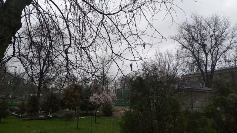 Изрображение 'Местами дождь: погода на 27 марта'