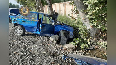 Изрображение 'В Ферганской области "Нексия" врезалась в дерево: погиб пассажир автомобиля'
