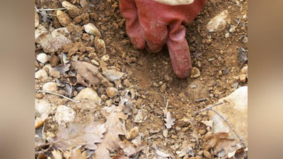 'BRITANIYaLIK TALABA  VII ASRGA OID  QABRDAN  XAZINA TOPDI'ning rasmi