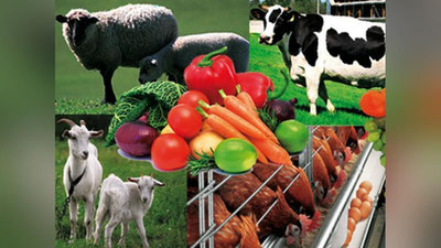 'Andijonda tadbirkorlarga 3 foizli imtiyozli kreditlar beriladi'ning rasmi