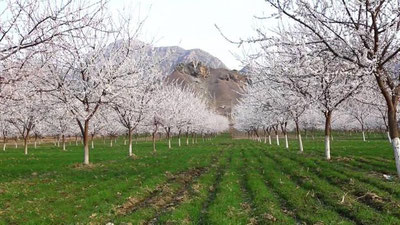 '​23 mart kuni O`zbekiston bo`ylab yomg`ir yog`ib, momaqaldiroq bo`lishi kutilmoqda'ning rasmi