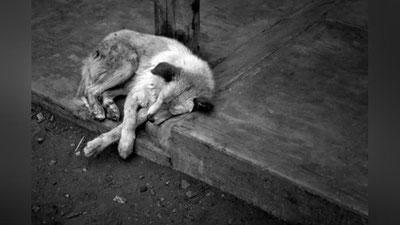 'Виждон азоби'ning rasmi