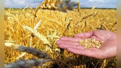 'Andijonlik fermerlar hamon 71 milliard so`mni ololmayapti'ning rasmi