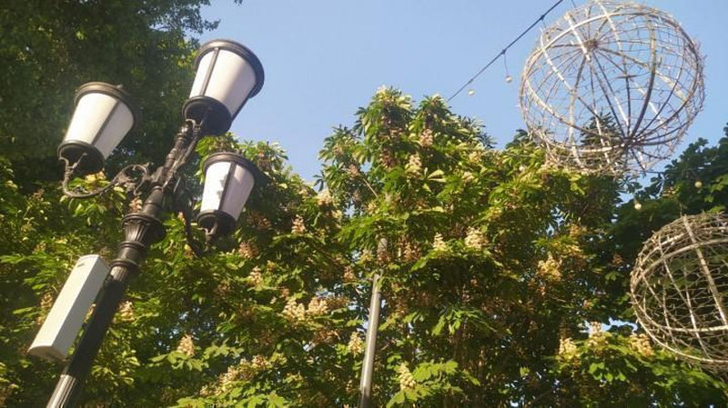 Изрображение 'В Ташкенте +32: погода на 4 июня'