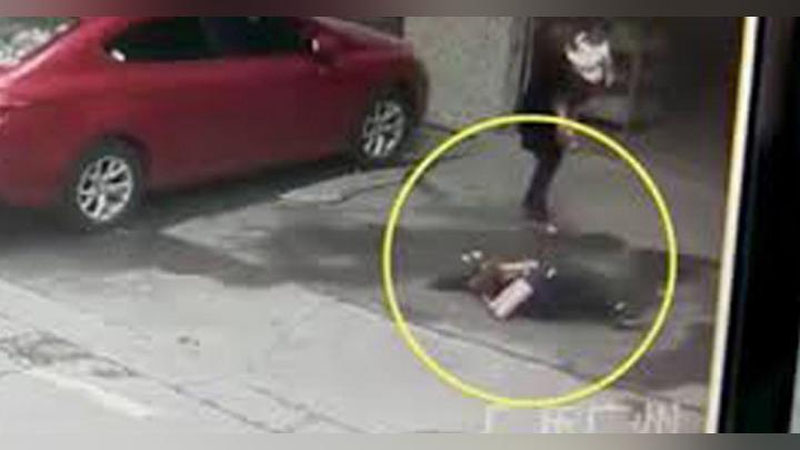 'Осмондан қулаган ит аёлни нокаутга учратди (Видео)'ning rasmi