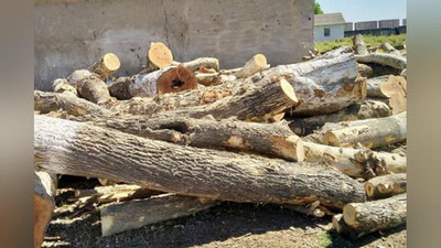 'Ekologiya sohasida javobgarlikni kuchaytirish nuqtai nazaridan amaldagi qonunlar qayta ko`rib chiqiladi  – Senat raisi'ning rasmi