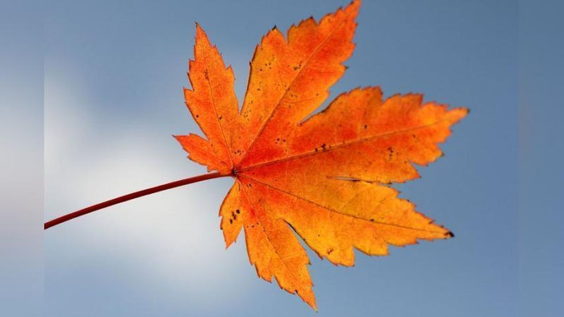 Изрображение 'Какая погода нас ждет на новой рабочей неделе?'