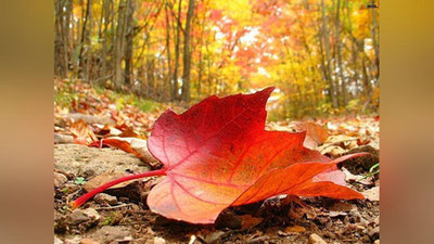 ' ЭРТАГА ҲАВО ҲАРОРАТИ КЕЧАСИ 0-2, КУНДУЗИ 13-15 ДАРАЖА ИЛИҚ БЎЛАДИ'ning rasmi