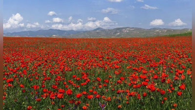 '27 апрель куни кутилаётган об-ҳаво маълумоти'ning rasmi