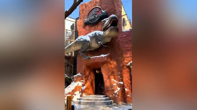 Изрображение '"Дом динозавров" открылся в Ташкентском зоопарке (видео)'