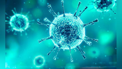 'Koronavirus asosan kimlarga yuqadi?'ning rasmi