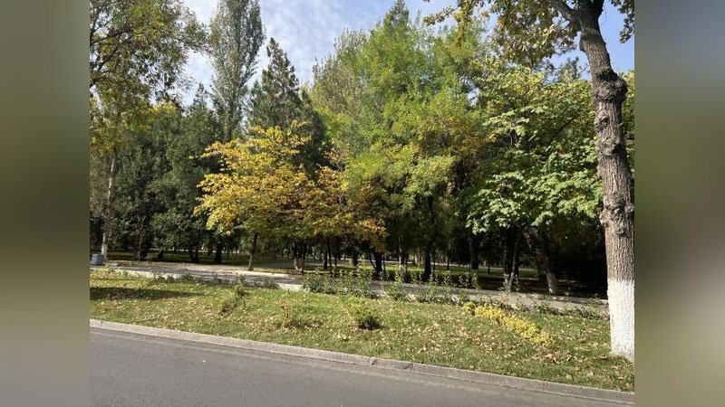 'Бугун Ўзбекистонда ёғингарчилик кутилмайди, ҳарорат 27 даражага кўтарилади'ning rasmi