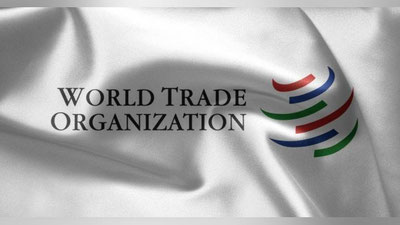 Изрображение 'Вводится должность спецпредставителя Президента по вопросам ВТО'