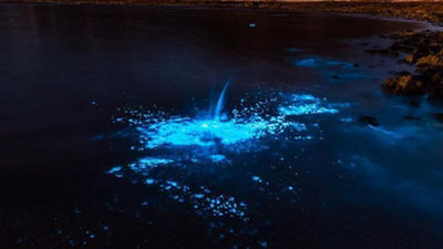 '​O`zidan nur taratgan dengiz ijtimoiy tarmoq foydalanuvchilarini hayratga soldi (Video)'ning rasmi