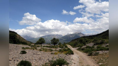 Изрображение 'В Ташкенте стало прохладнее: погода на 20 сентября'