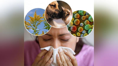 '​Аллергология маркази беморлар учун бепул онлайн маслаҳат беради'ning rasmi